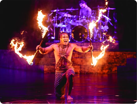 Cirque du Soleil